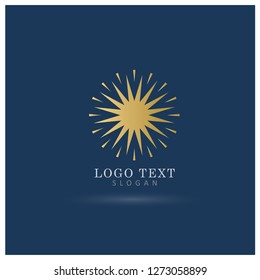 Sun Decorative Logo. Symbol & Icon Vector Template.