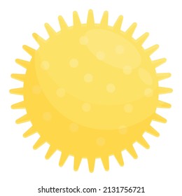 Sun dog ball icon cartoon vector. Cat food. Collar animal