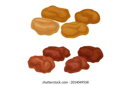 Sun Dried Fruit as Food with Sweet Taste and Nutritive Value Vector Set