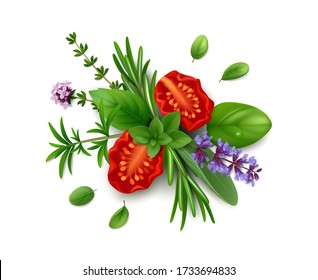 Sun dried tomatoes with fresh herbs de Provence: rosemary, summer savory, oregano, thyme, sage, peppermint, marjoram and basil. Isolated on white background. Top view. Realistic vector illustration.