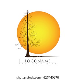 Sun and Dry Pine Tree Icon and Logo Vector Illustration.