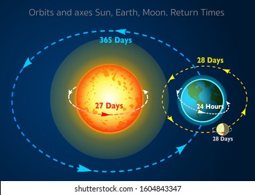 Sun, Earth, Moon. Rotation itself.   Orbits, axes, return times, periods, while. Interplay of Day, night, year, seasons formation. Orbits lines. movements, directions and angles. Annotated Vector