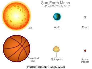 Diagrama de la relación entre el tamaño del sol, la tierra y la luna. Baloncesto, garbanzos solares aproximados, pimienta negra mundial, tasa de dimensión. Grande a pequeño. Ejemplo de experimento de la tarea de ciencia. Ilustración del vector