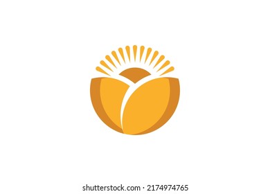 Sun Energy Colored Logo Vector