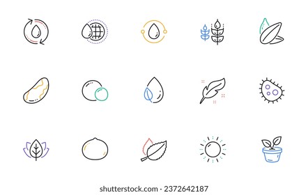 Sun energy, Mint leaves and Sunflower seed line icons for website, printing. Collection of Macadamia nut, World water, Bacteria icons. Organic tested, Brazil nut, Leaf dew web elements. Vector