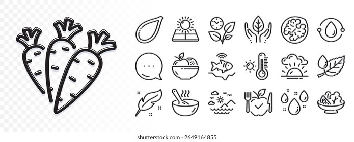 Energia solar, semente de abóbora e ícones de linha de frutas para aplicativo Web. Reflexo de efeito de luz. Ícone Mensagem. Pacote de comida vegetariana, óleo pressionado a frio, deixa ícones do pictograma. Vetor