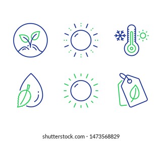 Sun energy, Thermometer and Water drop line icons set. Startup, Sunny weather and Bio tags signs. Solar power, Thermostat, Mint leaf. Launch project. Nature set. Line sun energy outline icons. Vector
