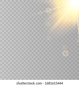Escamas solares aisladas sobre fondo transparente