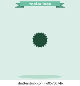 Sun flat icon.