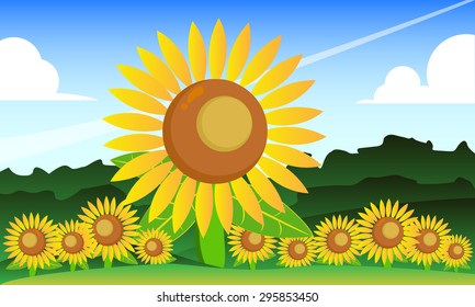 Sun Flower