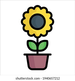 sun flower, bloom flat line icon  