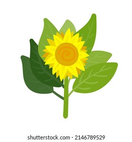 ilustración vectorial de flor de sol  