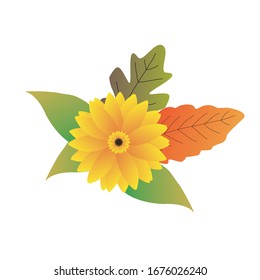 Sun Flower Bouquet isolated on white background. Isolated Flower