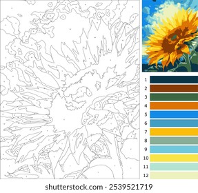 sun flower, coloring page by number for adult, beginner level with 12 colors guide
