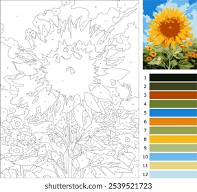 Flor de sol, Dibujo para colorear por número para adulto, Nivel principiante con 12 colores Guía