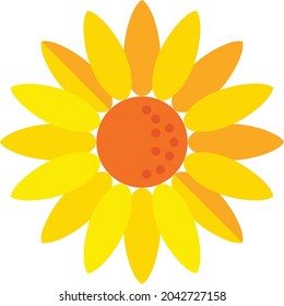 sun flower for commercial use