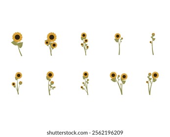 Sun Flower Design Element Set