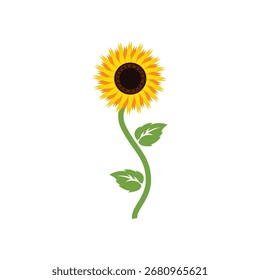sun flower design icon vecktor ilustrator