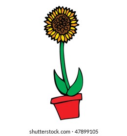 sun flower drawing