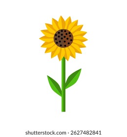 Sun flower flat icon design on white background.