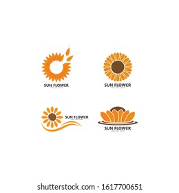 Sun flower floral logo vector icon template 
