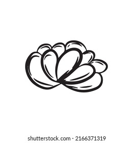 Sun flower hand drawing vector illustration. element floral