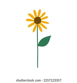 Sun Flower Hand Drawn Illustration
