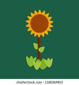 Sun flower icon