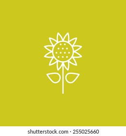 sun flower icon