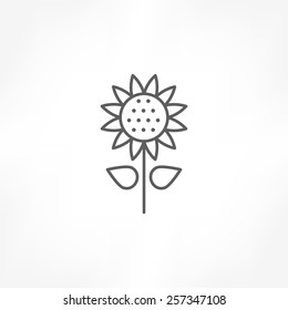 Sun Flower Icon