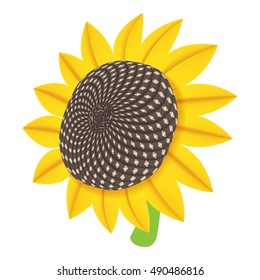 Sun flower icon in cartoon style isolated on white background. Plant symbol vector illustration