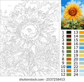 Ilustração da flor do sol, colorindo página por número para nível intermediário adulto com guia de 24 cores