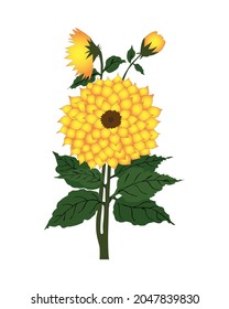 Sun Flower Illustration for T-shirt design,  Mug Design etc..