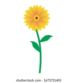 Vector de ilustración de flor de sol aislado en fondo blanco