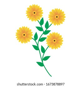 Sun Flower Illustration Vector isolated on white background