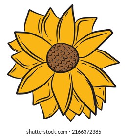 Sun flower isolated on white background. sun flowers element