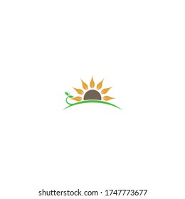 Sun Flower logo icon concept illustration