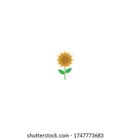 Sun Flower logo icon concept illustration