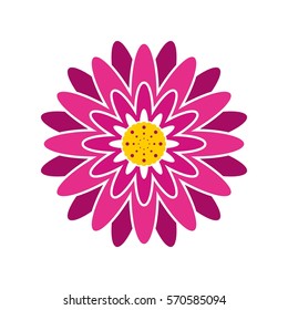 sun flower pink