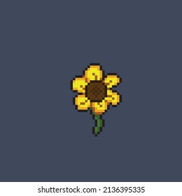 sun flower in pixel style