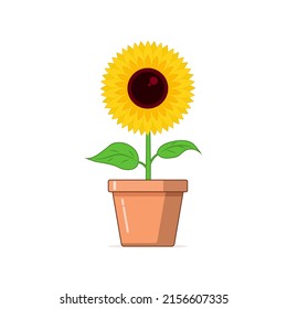 Sun flower and pot cartoon vector graphics