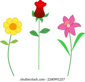 Sun flower, red roses, and pink lily isolated. Vector illustration flower