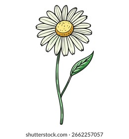 Sonnenblumen-Stick, Sonnenblume