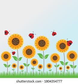 sun flower summer season with grass nature vector illustration design 