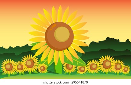 Sun Flower Sunset