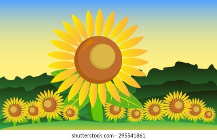 Sun Flower Sunshine