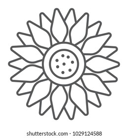 Sun flower thin line icon, farming and agriculture, plant sign vector graphics, a linear pattern on a white background, eps 10.