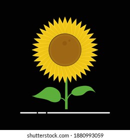 Sun flower vector art and graphics