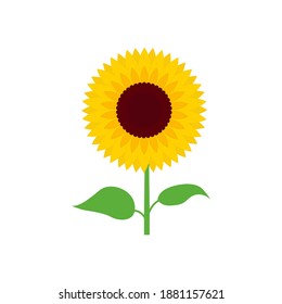 Arte vectorial de flores de sol y gráficos