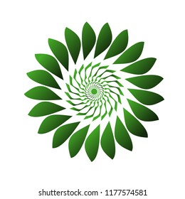 sun flower vector art illustration